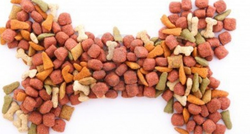 Un hombre se alimentó durante 30 días de comida para perros por un insólito motivo