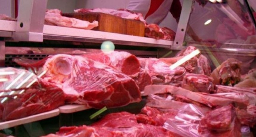 SAN ANTONIO DE ARECO | BROMATOLOGÍA DECOMISÓ 236 KG. DE CARNE DE UN SÚPER CHINO