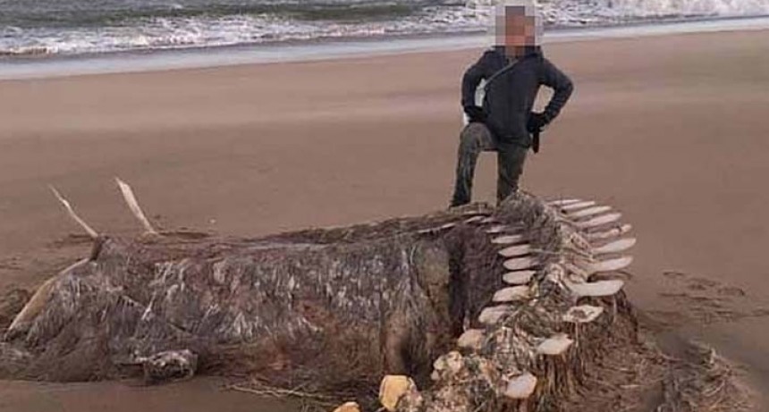 Un enorme esqueleto apareció en una playa de Escocia: dinosaurio o el monstruo del lago Ness?
