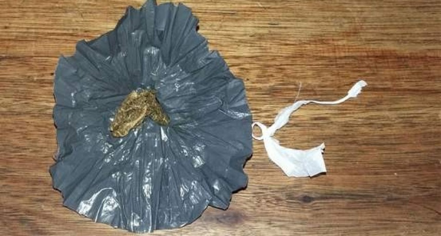 Detenido por tenencia de Marihuana