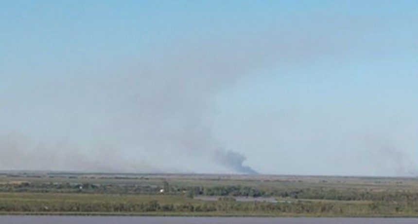 Varios focos de incendio en las islas, multiplicaban quejas por el humo 