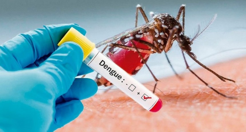 BARADERO | SE CONFIRMARON DOS CASOS DE DENGUE