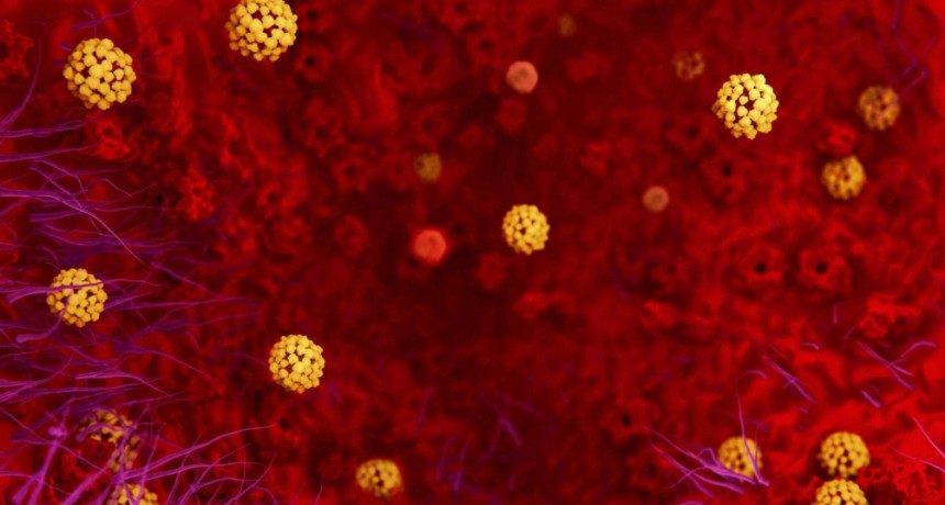 Confirman Coronavirus en docente de Viedma; cuarentena para la escuela