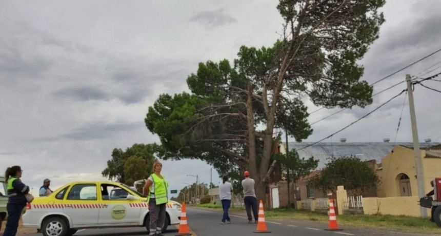 Arrecifes se sum&oacute; a la medida preventiva y cerr&oacute; sus accesos