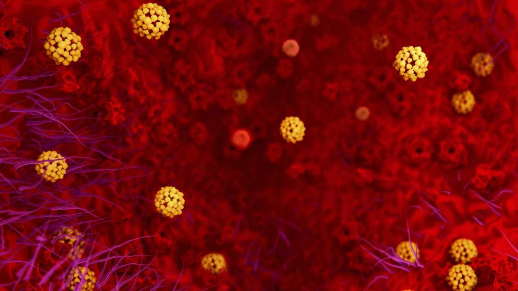 ¿El coronavirus está en la ropa, en los zapatos, en el pelo, en las boletas de servicio?