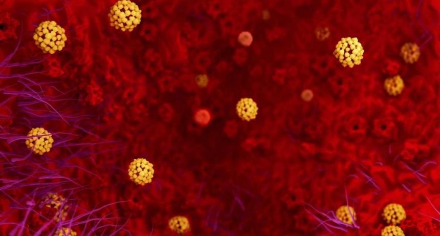 ¿El coronavirus está en la ropa, en los zapatos, en el pelo, en las boletas de servicio?