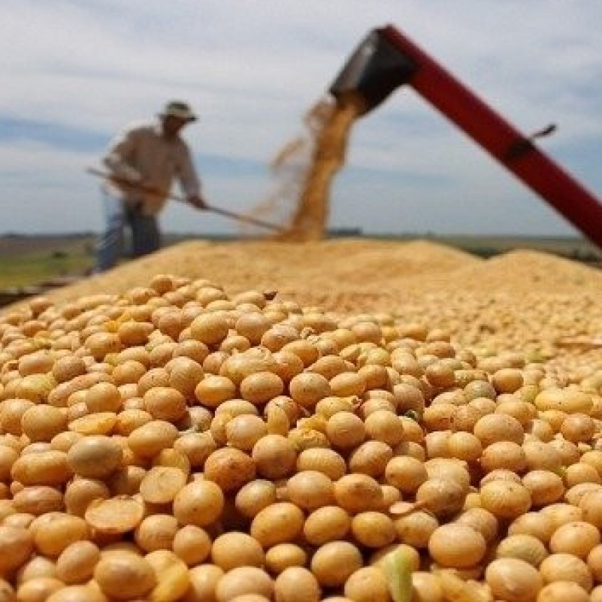 Fiscalización sobre el comercio de granos