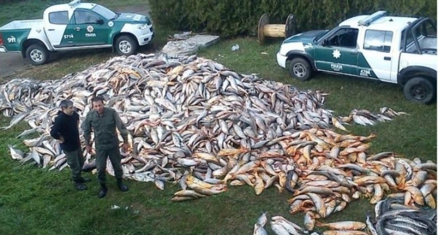 Matanzas de peces en el río: un desastre que va más allá de la bajante