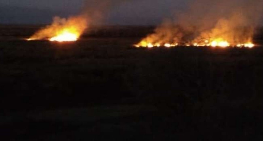Incendio en las islas: Advierten que los tres próximos meses 